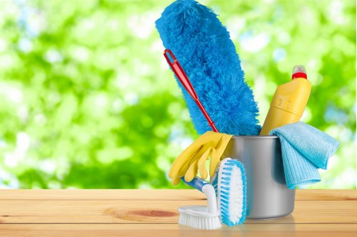 Carpet cleaner preparing equipment with safety gear in a domestic setting