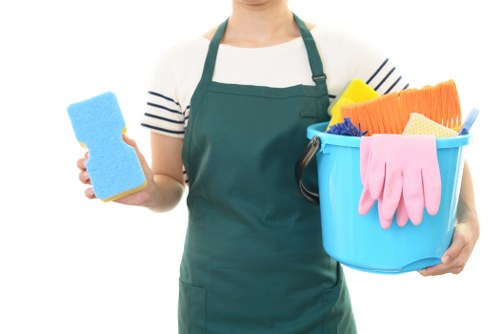 Professional pet stain odour removal process for Eel Pie Island interiors