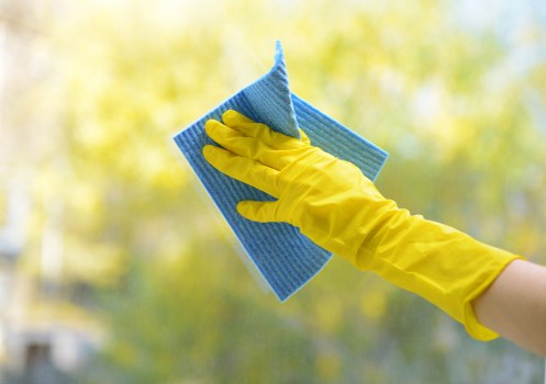 Carpet cleaning technician preparing professional equipment before service