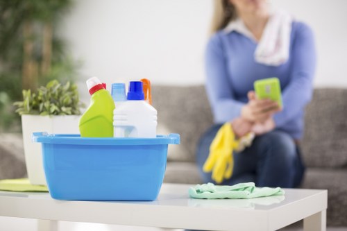 Team member assessing a carpet cleaning complaint and service notes