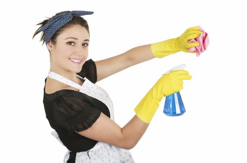 Eco-friendly stain cleaning tools and supplies