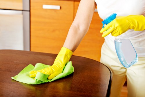 Spot treatment and stain removal on upholstery